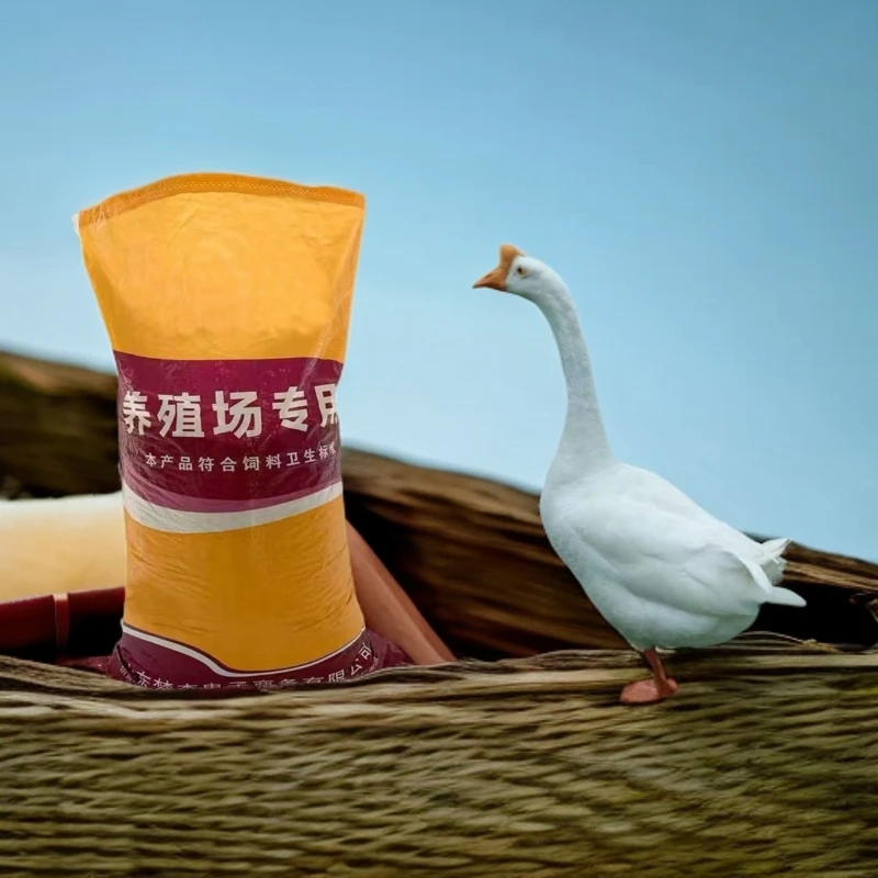 家禽专用饲料 顺丰包邮