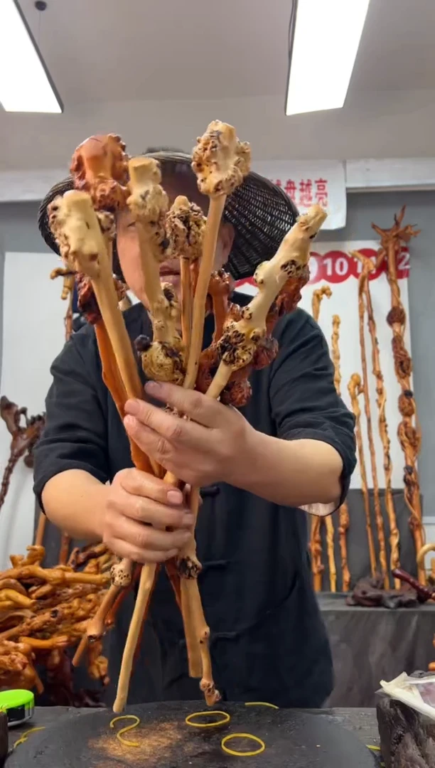 黑果木其他黑果木544