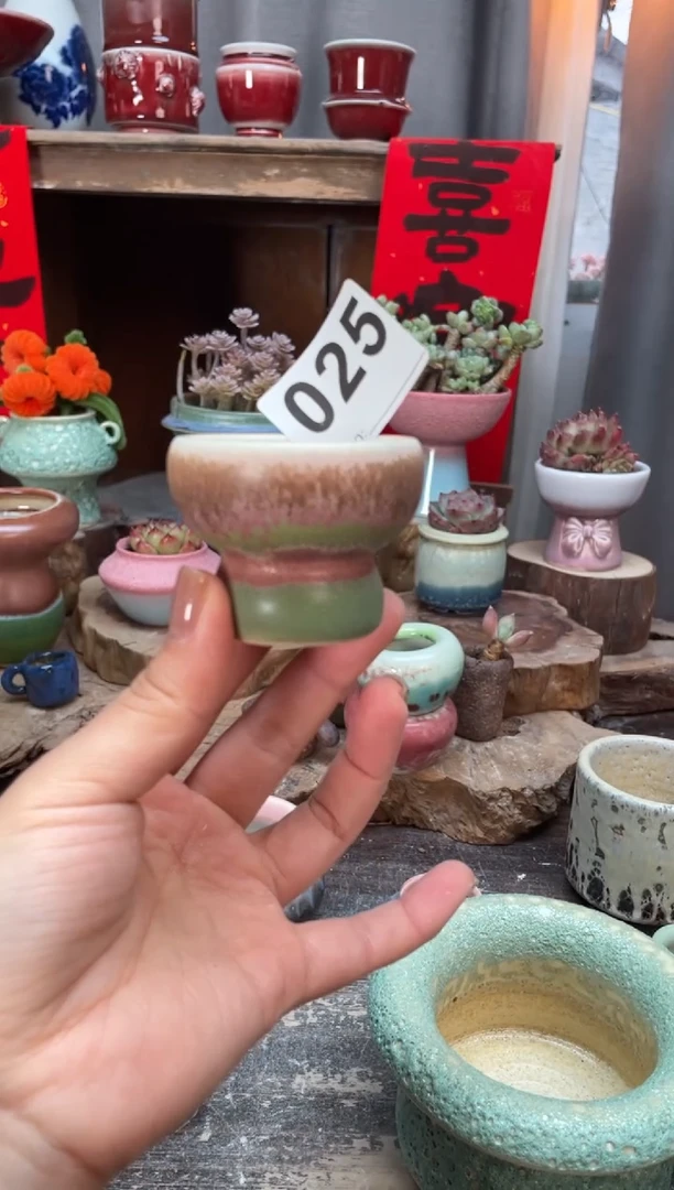 【闪购商品】摆件025知木小芳花盆