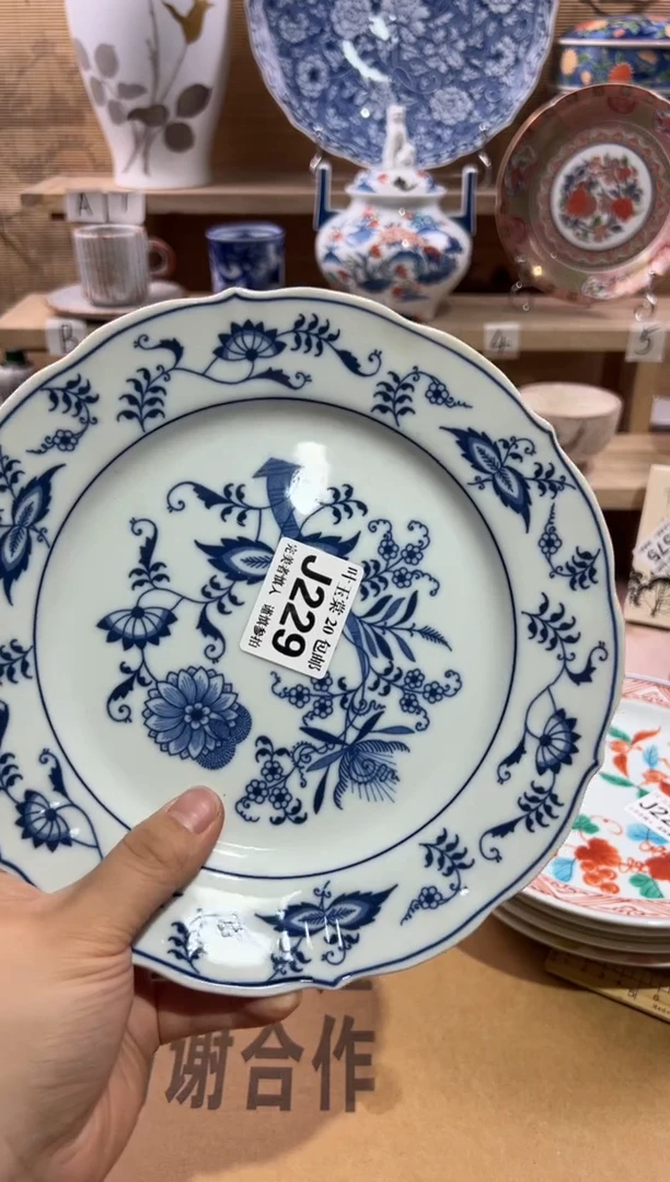 瓷片          J229