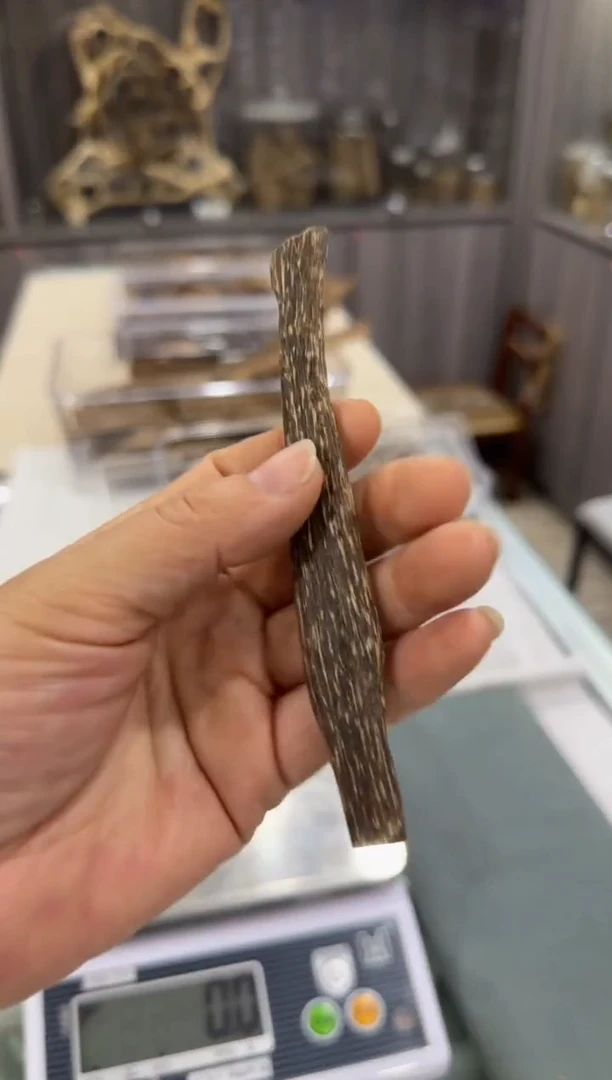 香料19-海南霸王岭树芯油料5.1克