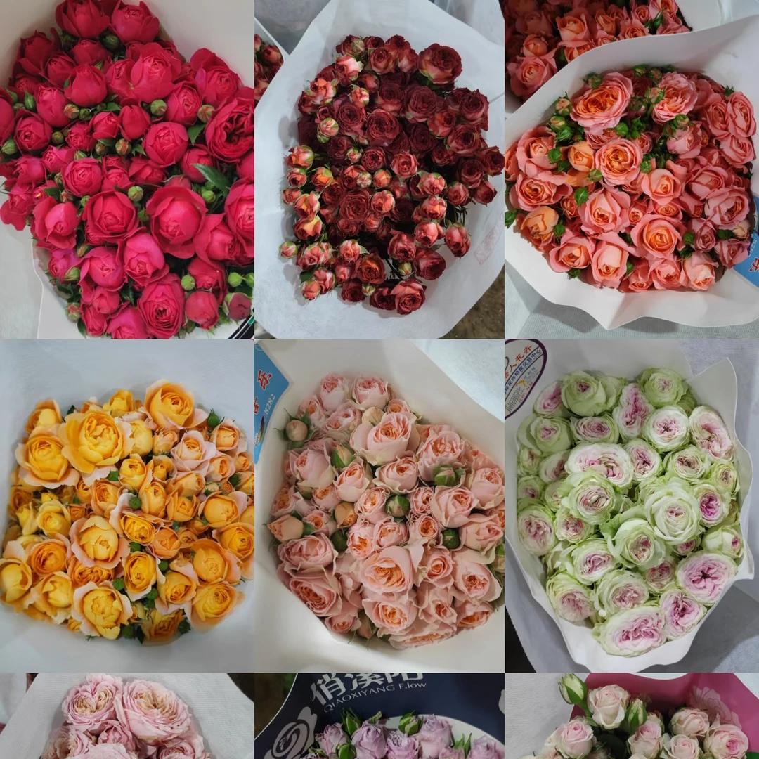 宠粉专属【随机多头玫瑰】 今日下单明日送达 生活鲜切花同城批发直播