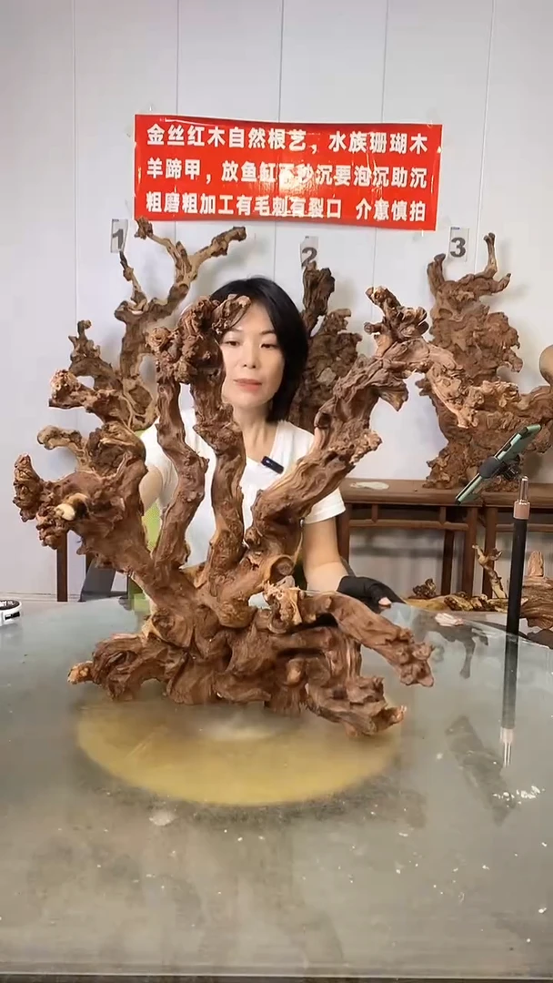 香榧木联*想金丝红木   羊蹄甲