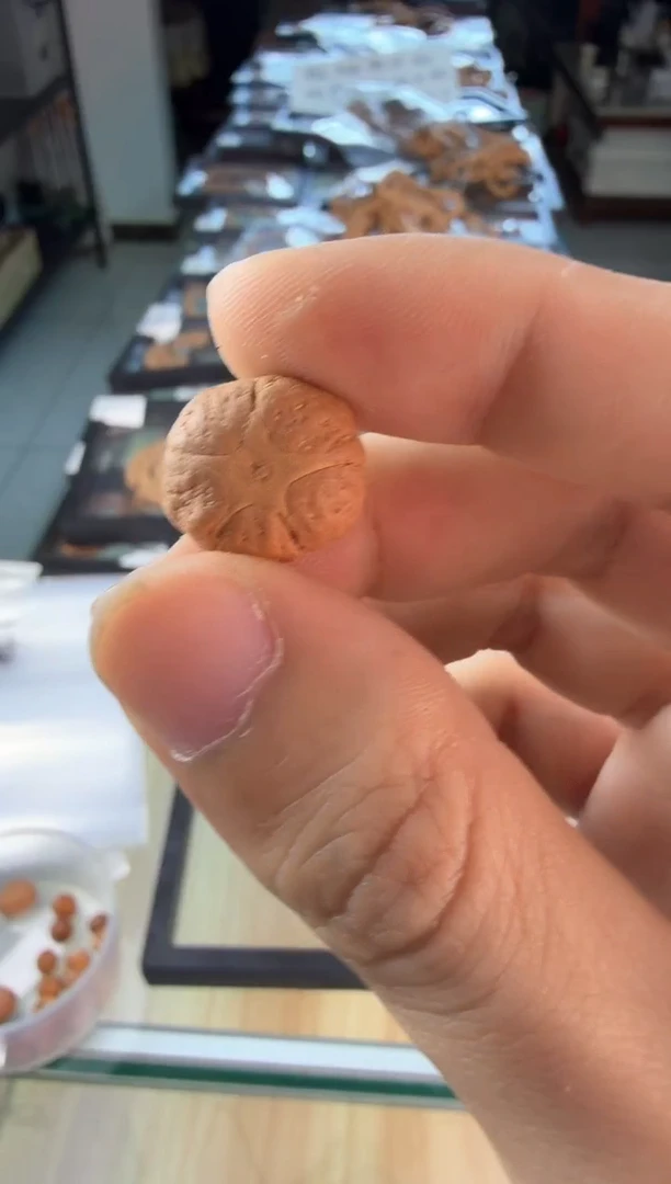 吊坠凤眼菩提3941 国产顶珠