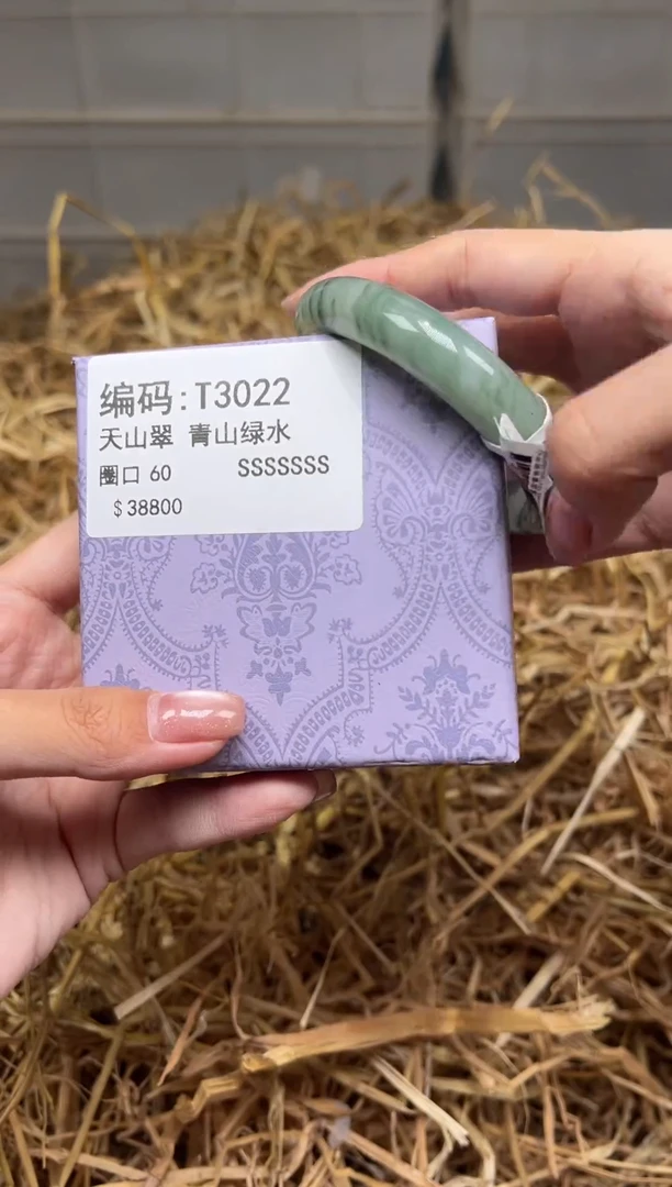 未镶嵌手镯石英质玉T3022