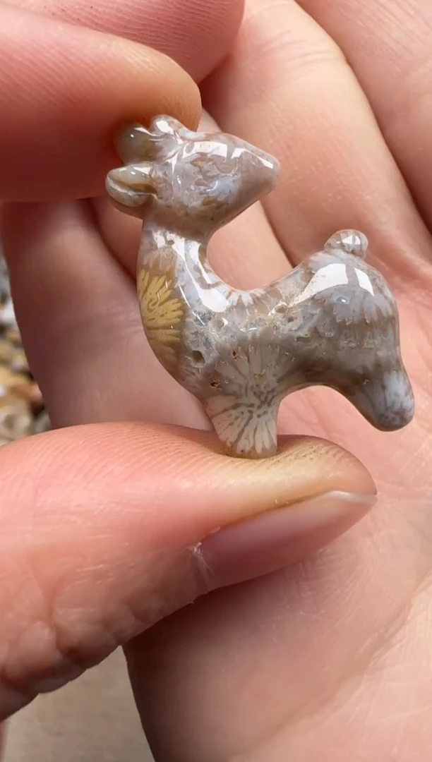 【闪购商品】硅化珊瑚（珊瑚玉）颈饰未镶嵌195