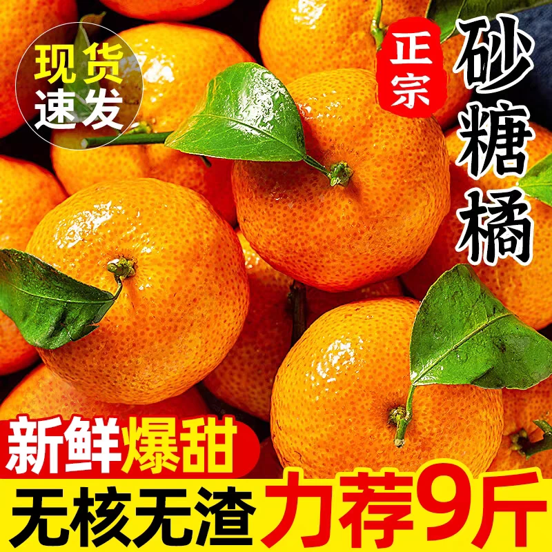 广西砂糖橘新鲜当季整箱水果沃正宗金秋沙糖蜜桔小柑橘桔子