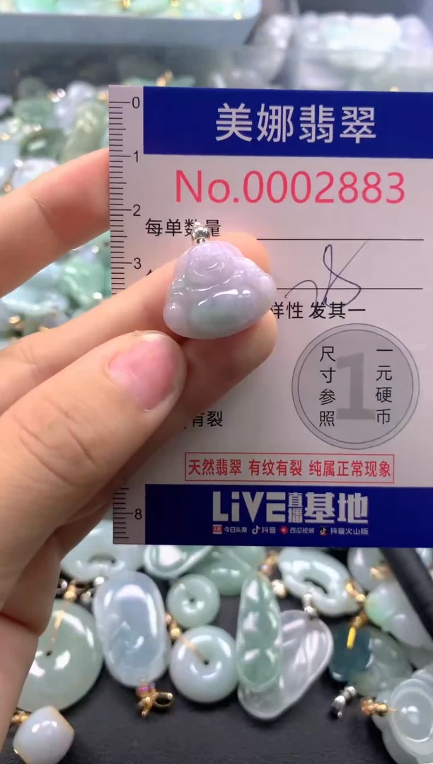 颈饰未镶嵌翡翠2883