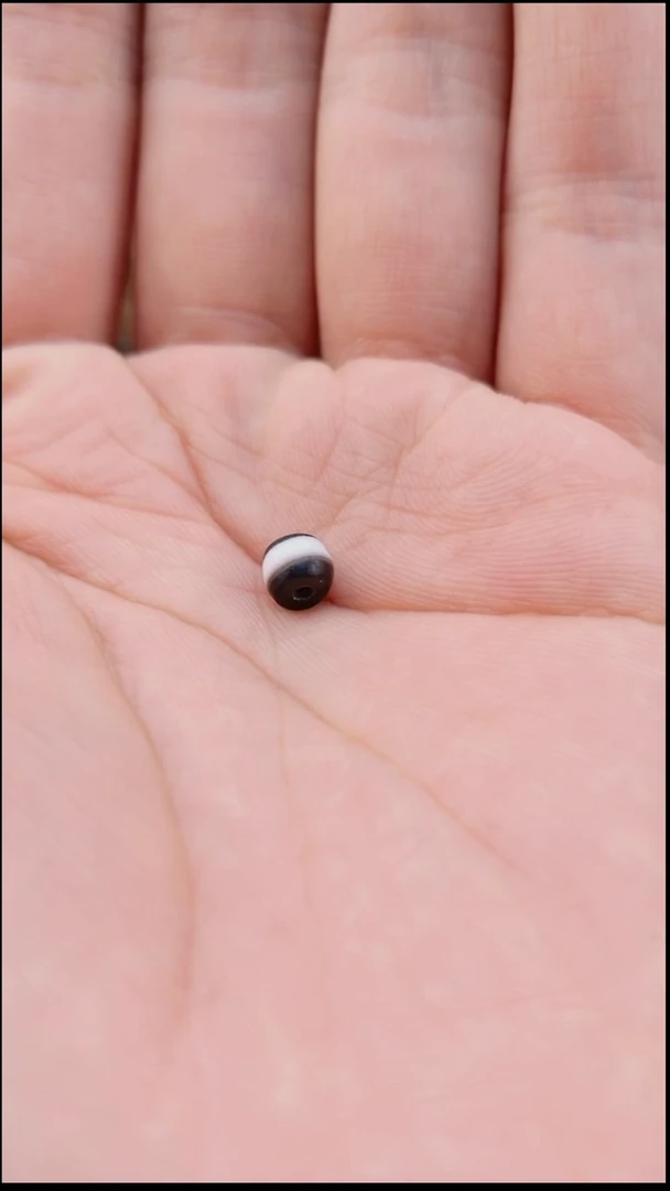 未镶嵌1玛瑙/玉髓1