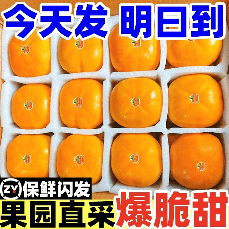 【当天摘】巧克力脆柿子新鲜水果脆甜生吃硬柿孕妇黄柿应季整箱包邮