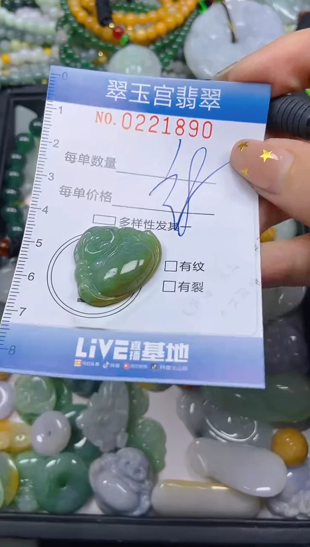 颈饰未镶嵌翡翠闪购C0221890