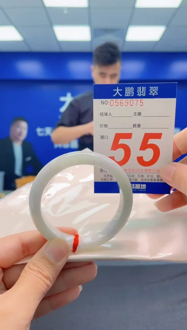 未镶嵌手镯翡翠AAAAAAAAA