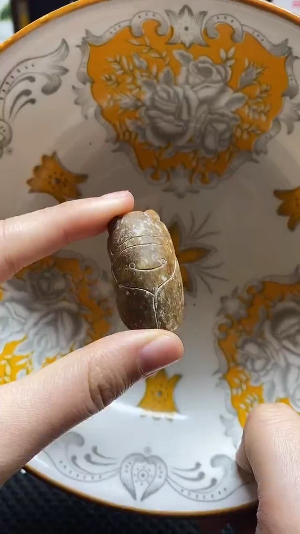 【闪购商品】瓷片瓷片 瓷器 摆件1个