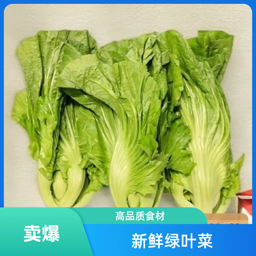 贵州新鲜青菜大叶青菜可做酸菜咸菜腌菜泡菜包芯芥菜盖菜苦菜农家