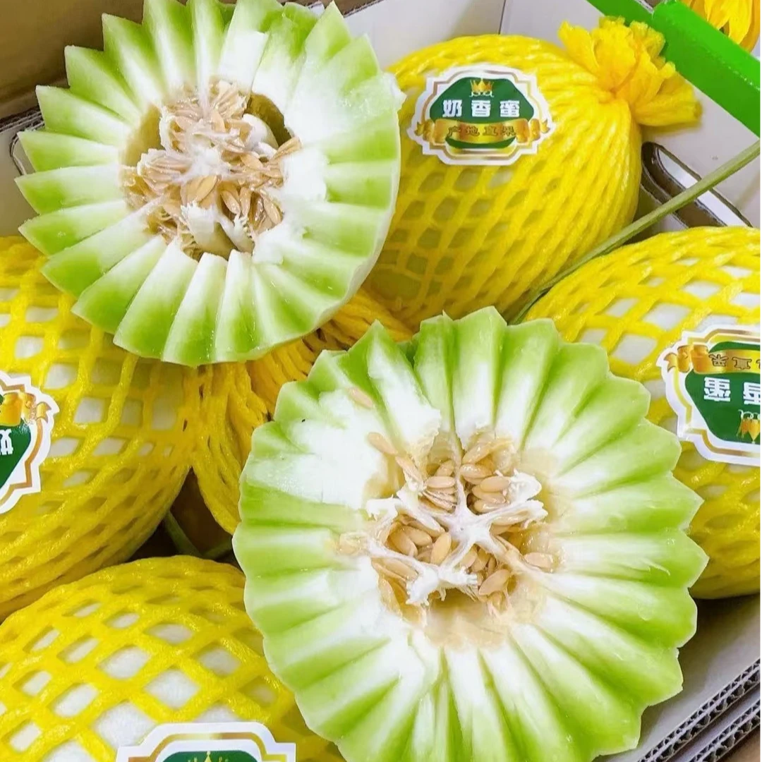 【热卖爆品】奶香密瓜甜瓜500g 奶香绵密 冰淇淋口感