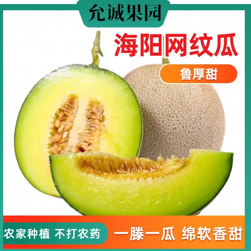 海阳网纹玫珑瓜当季新鲜水果冰激凌口感脆甜多汁