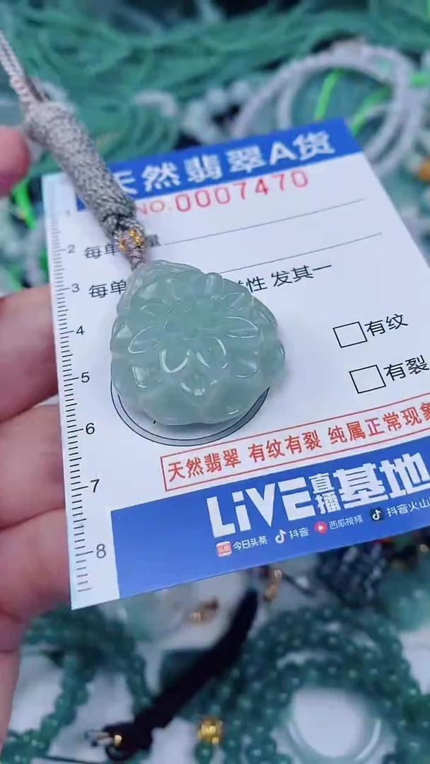 翡翠未镶嵌颈饰00007470