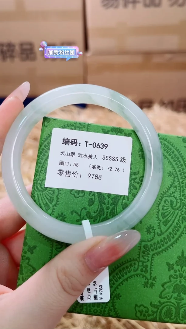 未镶嵌手镯石英质玉T-0639