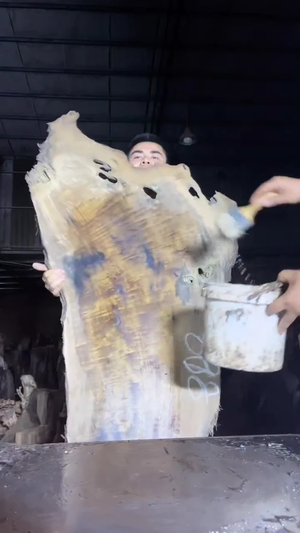 金丝楠50金丝楠小叶桢楠