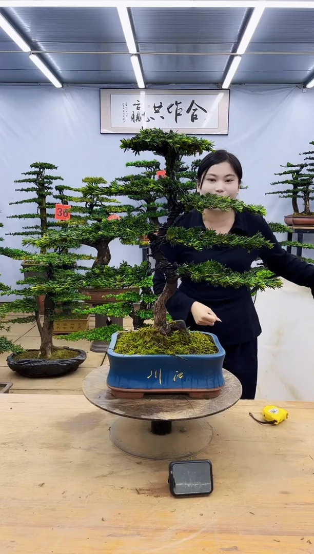 无花朵一物一拍，所见即所得