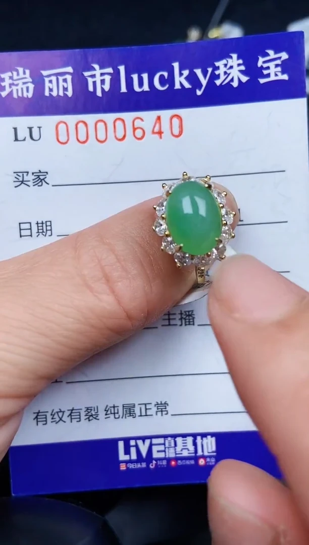 翡翠银S925镶嵌颈饰0640