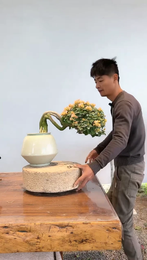 【闪购商品】AA935