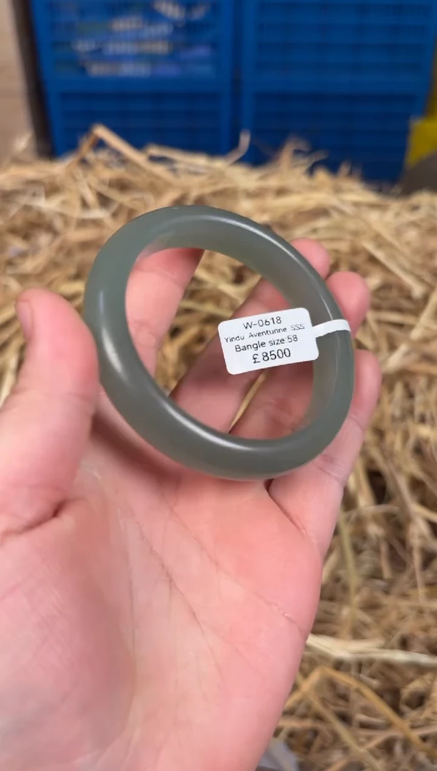 未镶嵌手镯石英质玉W0618