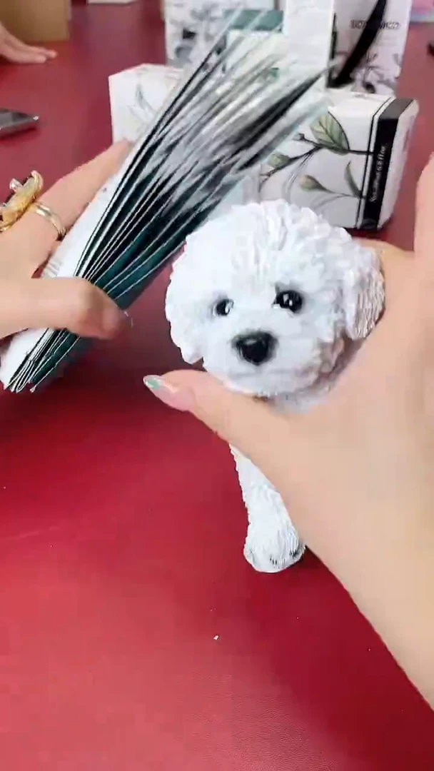 瓷片别算了真划算@@XQ1975