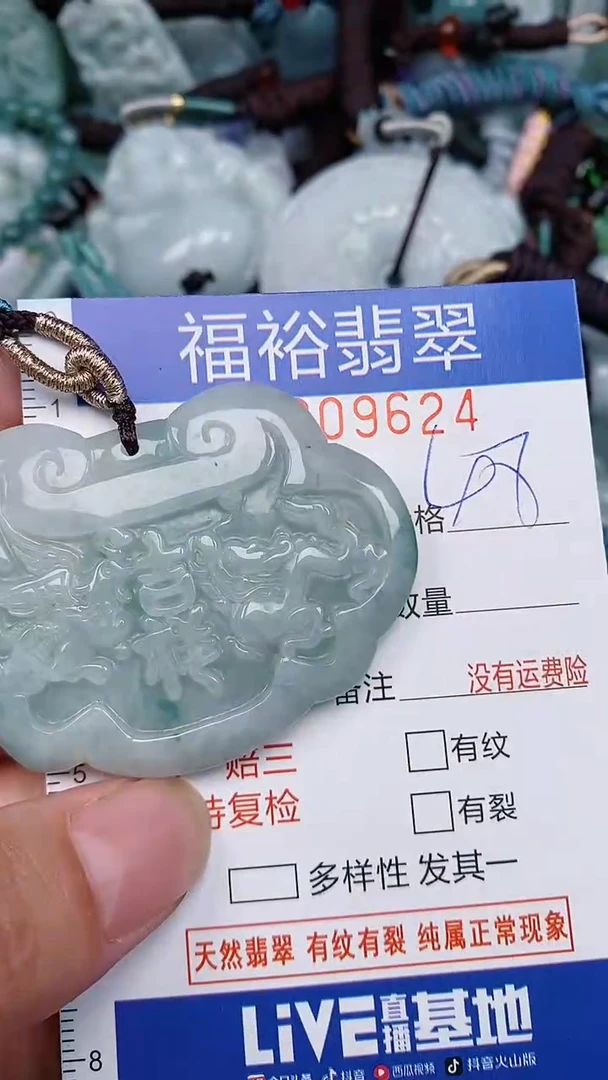 翡翠未镶嵌颈饰...0009624