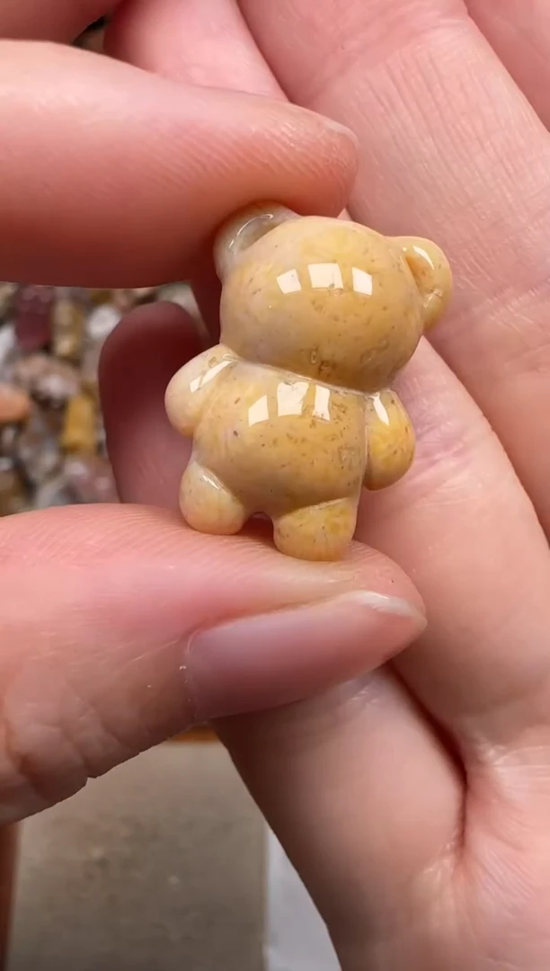 硅化珊瑚（珊瑚玉）未镶嵌颈饰329