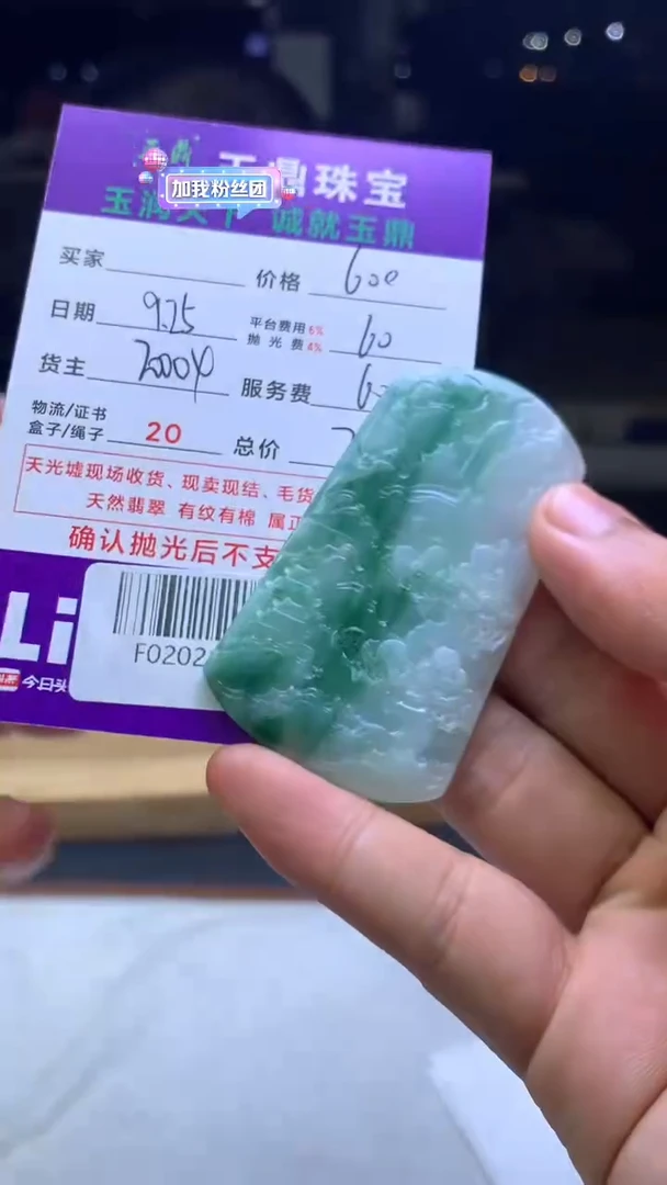 未镶嵌定制翡翠山**海F02021629