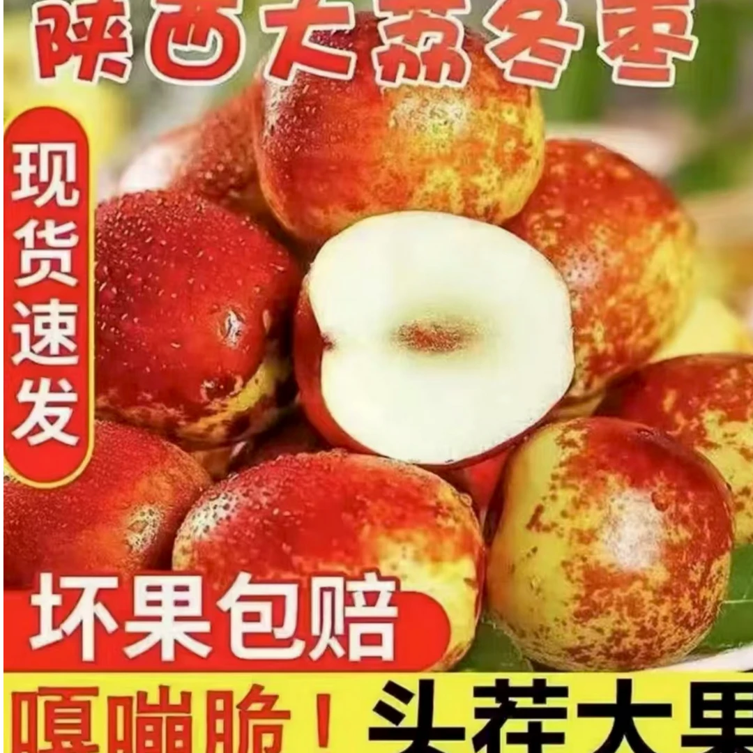 A陕西大荔冬枣5斤装产地直发口感脆甜ZXM