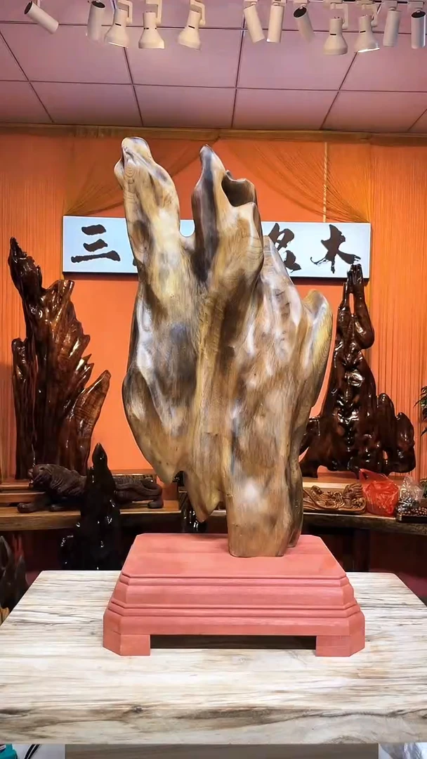 金丝楠菘*楊金丝楠木小叶桢楠