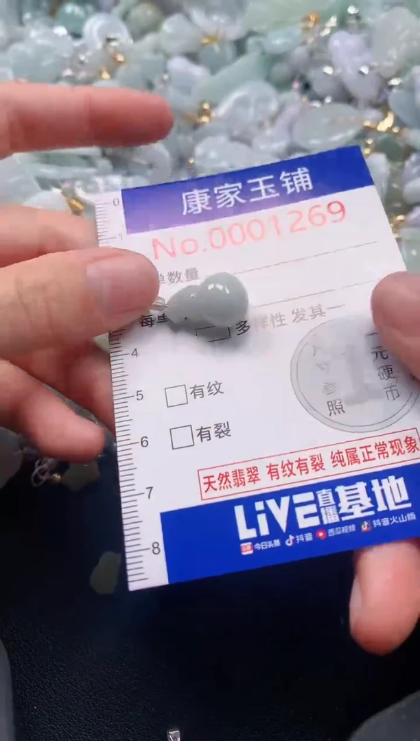 吊坠(不含链)未镶嵌翡翠1269