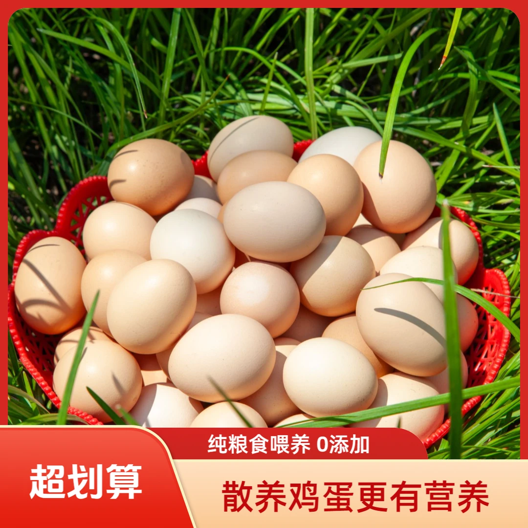 正宗散养零添加新鲜土鸡蛋农家谷物喂养营养健康适合老人孩子20枚