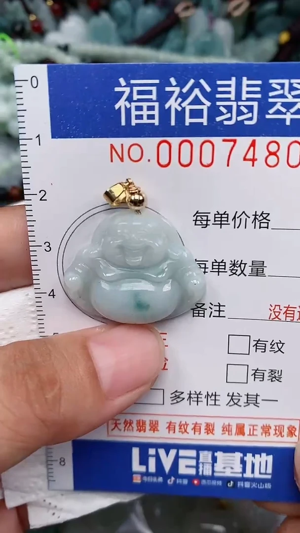 翡翠未镶嵌颈饰...0007480