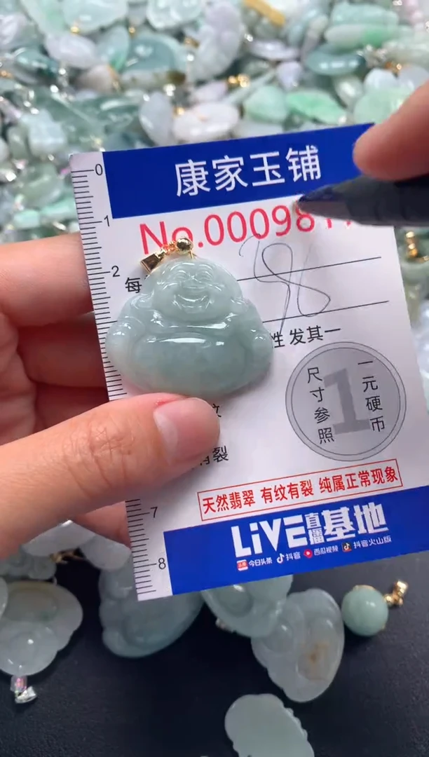 颈饰未镶嵌翡翠9817