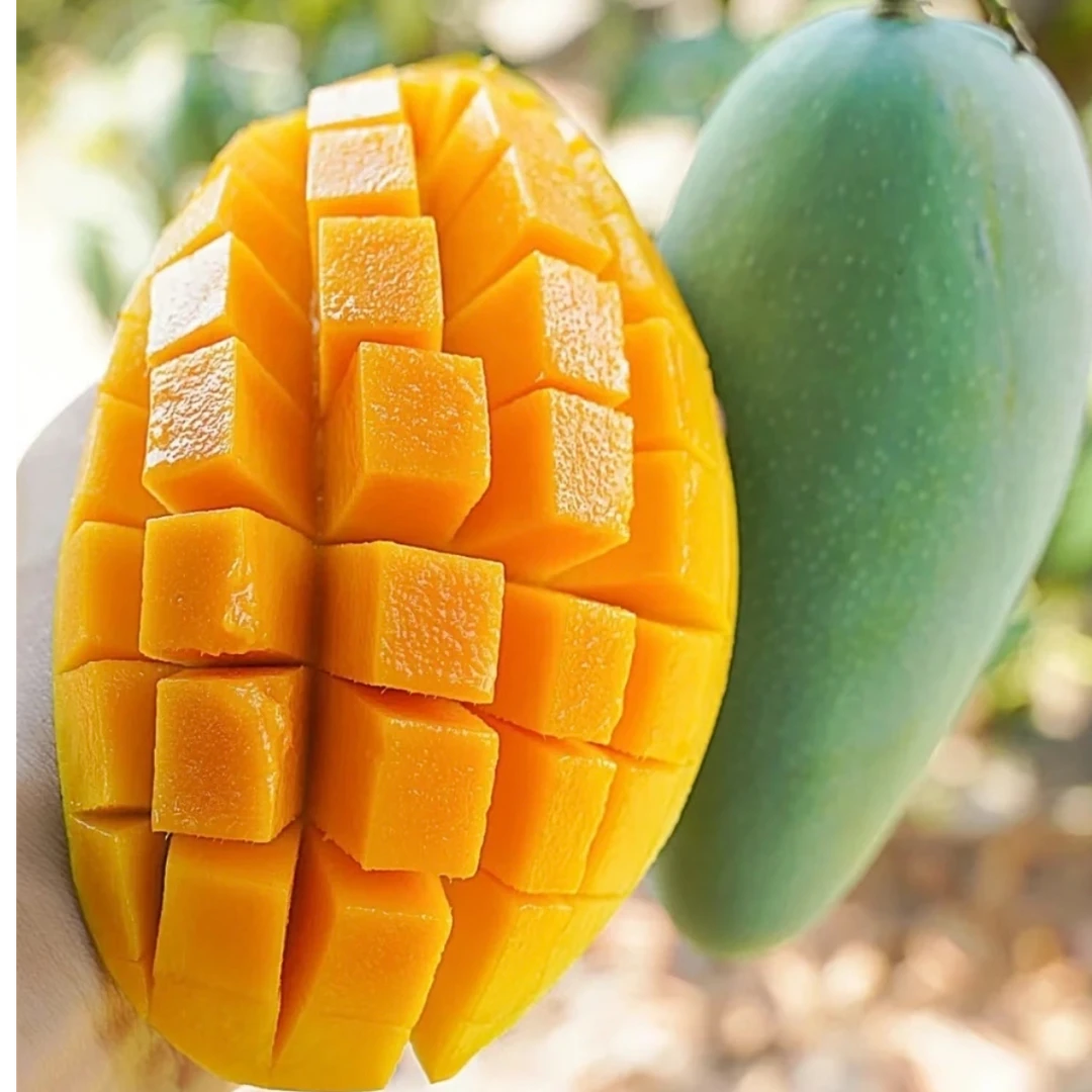 【催熟放软食用】J正宗青皮金煌芒当季新鲜水果金煌芒多仓发货