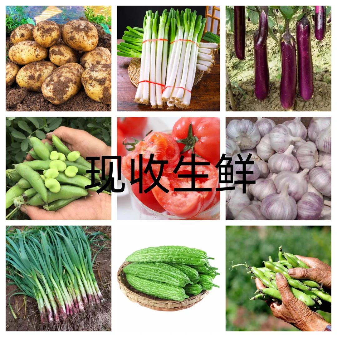 【一物一拍】农家露天种植现场生鲜收货助农直播，以直播间讲解为主