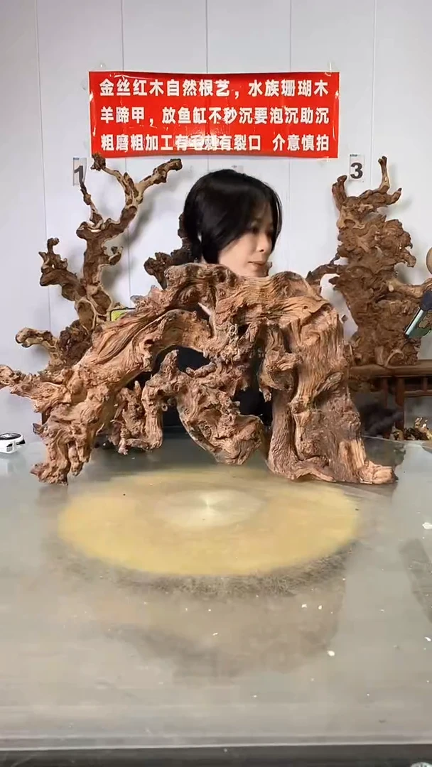 香榧木金丝红木 羊蹄甲