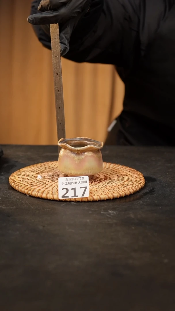 【闪购商品】瓷片217泥泥手工花盆