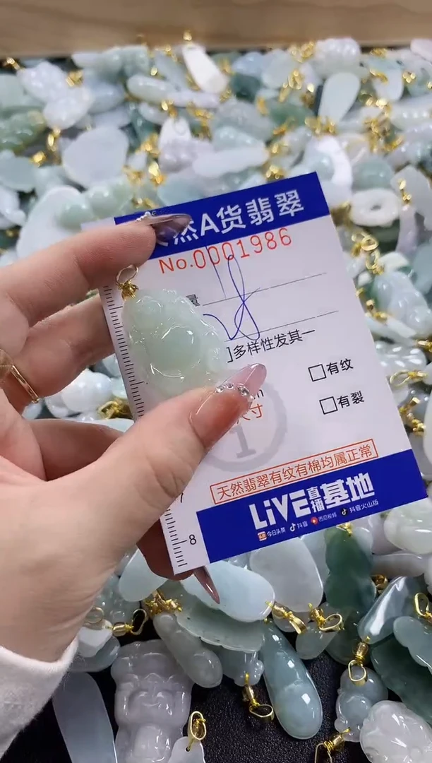 颈饰未镶嵌翡翠天然A货翡翠