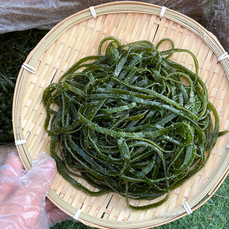 盐渍海带丝凉拌菜食材带箱5斤