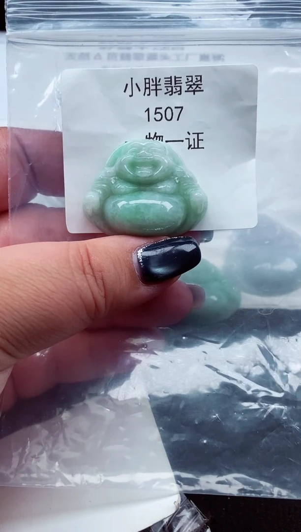 颈饰未镶嵌翡翠缅甸天然A货翡翠1507