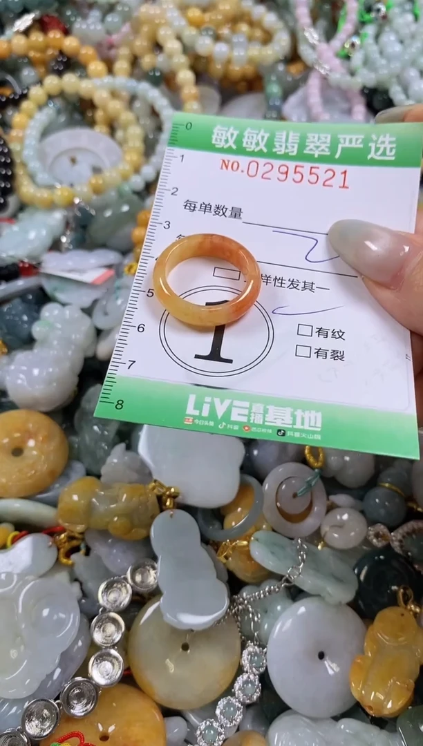 翡翠未镶嵌颈饰闪购0295521