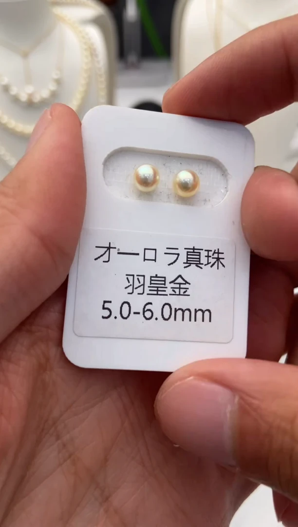 银S925镶嵌耳饰海水珍珠羽皇金5.0-6.0