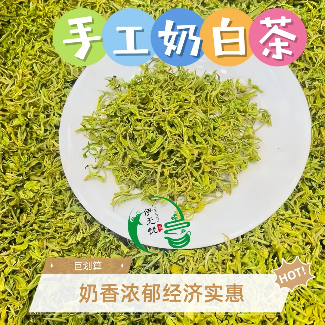 2025春茶【纯手工奶白茶口粮】奶香浓郁口感甘甜性价比高（伊无忧）
