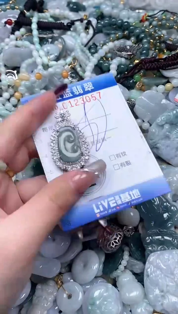 【闪购商品】翡翠颈饰未镶嵌闪购0123057多样性发其一