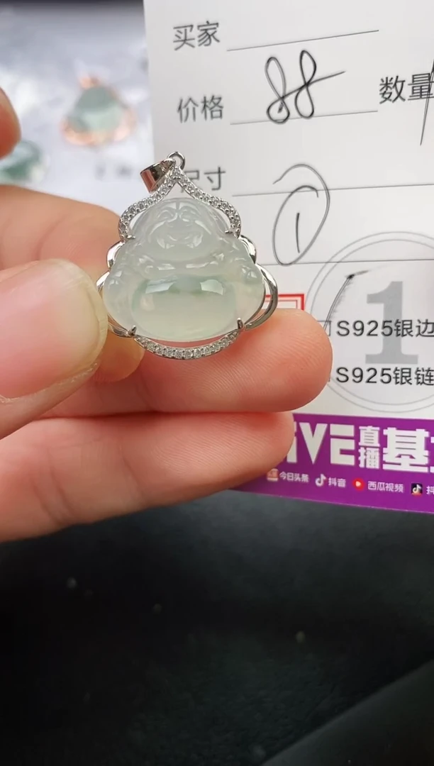 颈饰银S925镶嵌翡翠梅*籽挂件