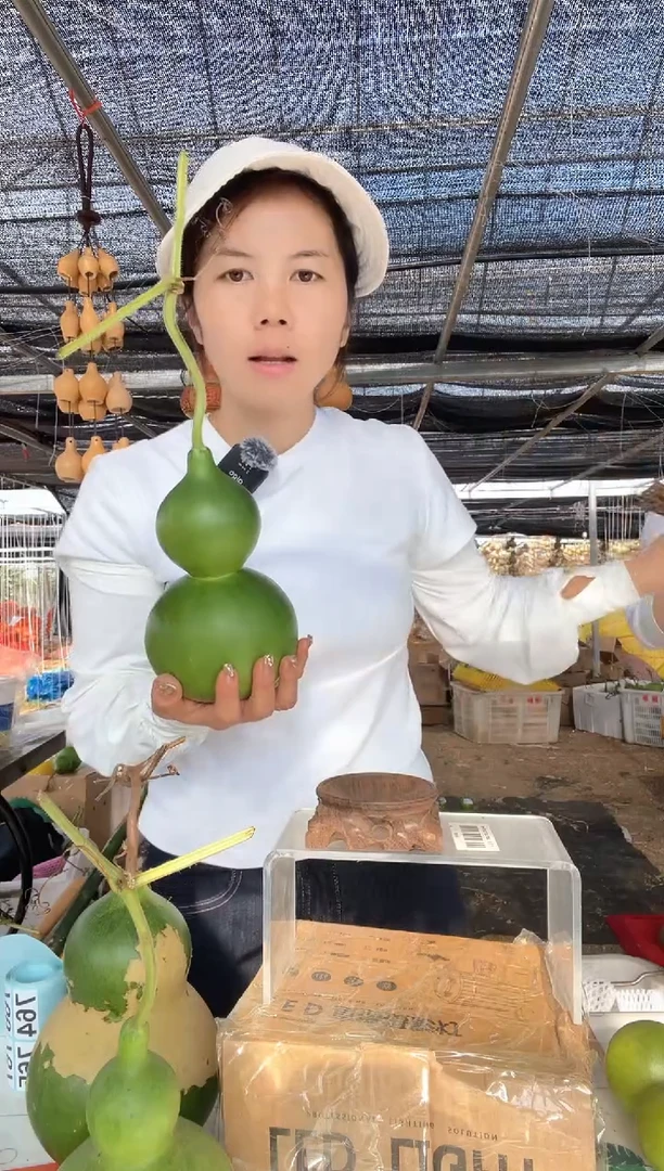 763天然葫芦摆件 一物一拍龙头不保售后